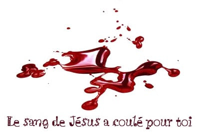 27 juillet 2026 : L'effusion du très précieux sang de Jésus Christ dans son crucifiement