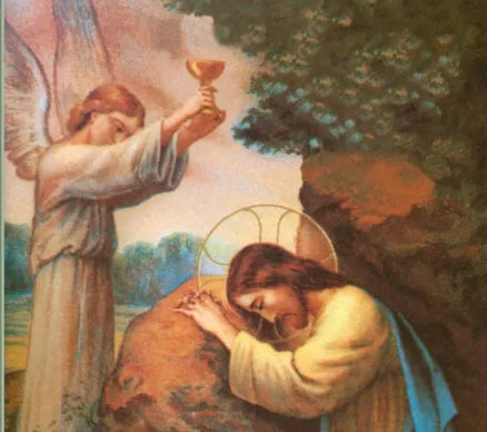 28 juillet 2026 : L'effusion du très précieux sang de Jésus dans l'ouverture de son côté